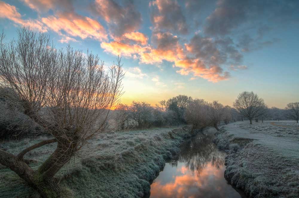 The Great Outdoors - Sunrise lights up early morning mist in Richmond Park, London (#TGO_06)