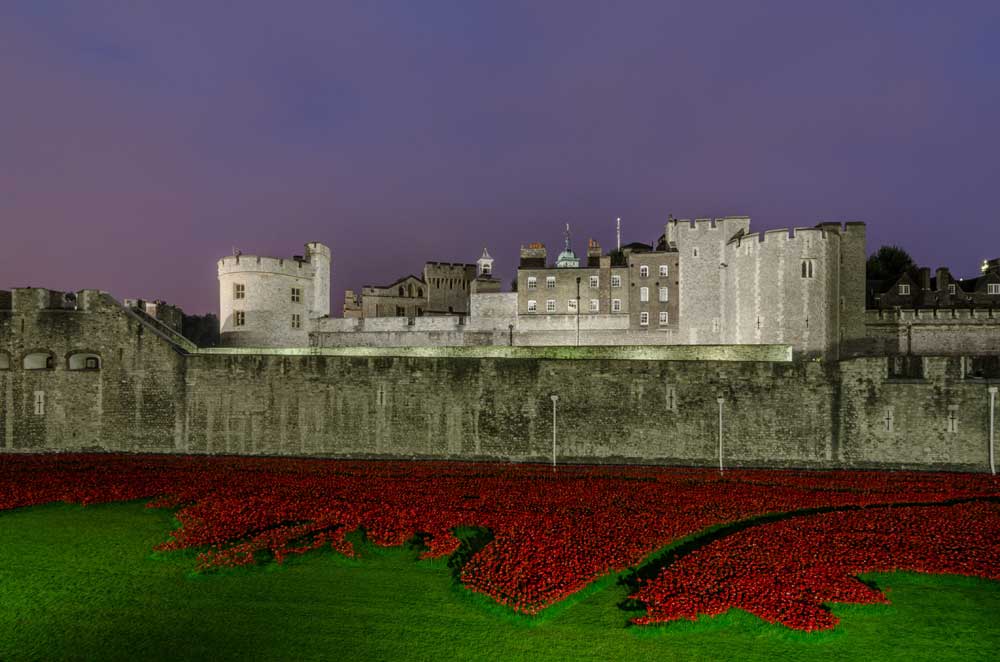 Architectural London - The Remembrance Poppies at the Tower of London (#ARCH_LONDON_18)