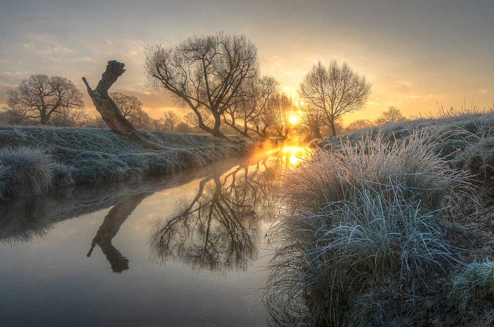 The Great Outdoors - Warm sunrise in Richmond Park, London (#TGO_09)