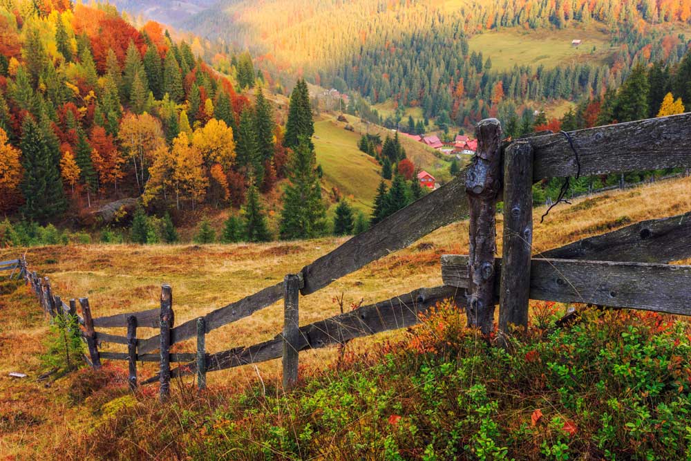 Autumn Scenes - Autumn fence (#AA_AUTS_10)