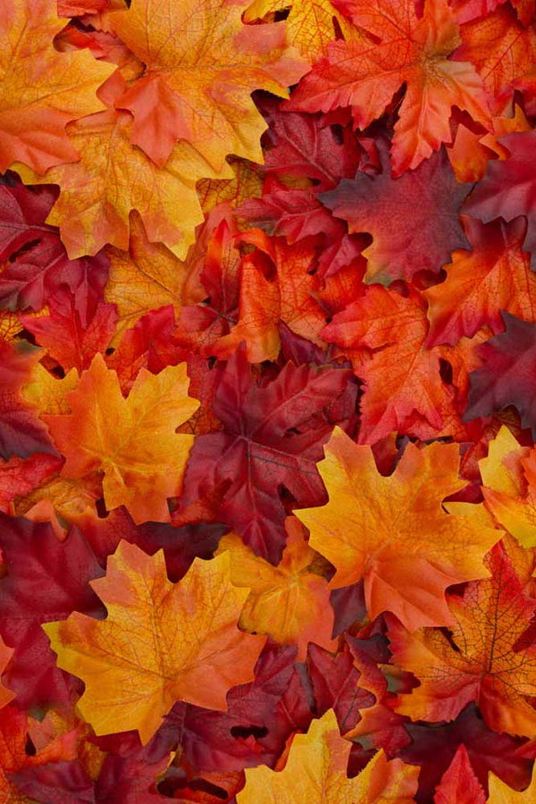 Autumn Scenes - Red and Orange Autumn Leaves (#AA_AUTS_11P) - GingerWhite