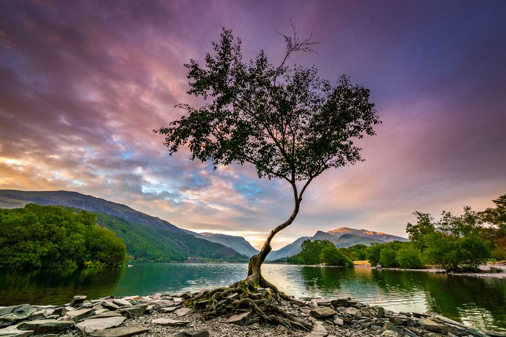 Park Life - Milarrochy Bay, Loch Lomond &amp; The Trossachs National Park in Scotland (#AA_NPARKS_01)