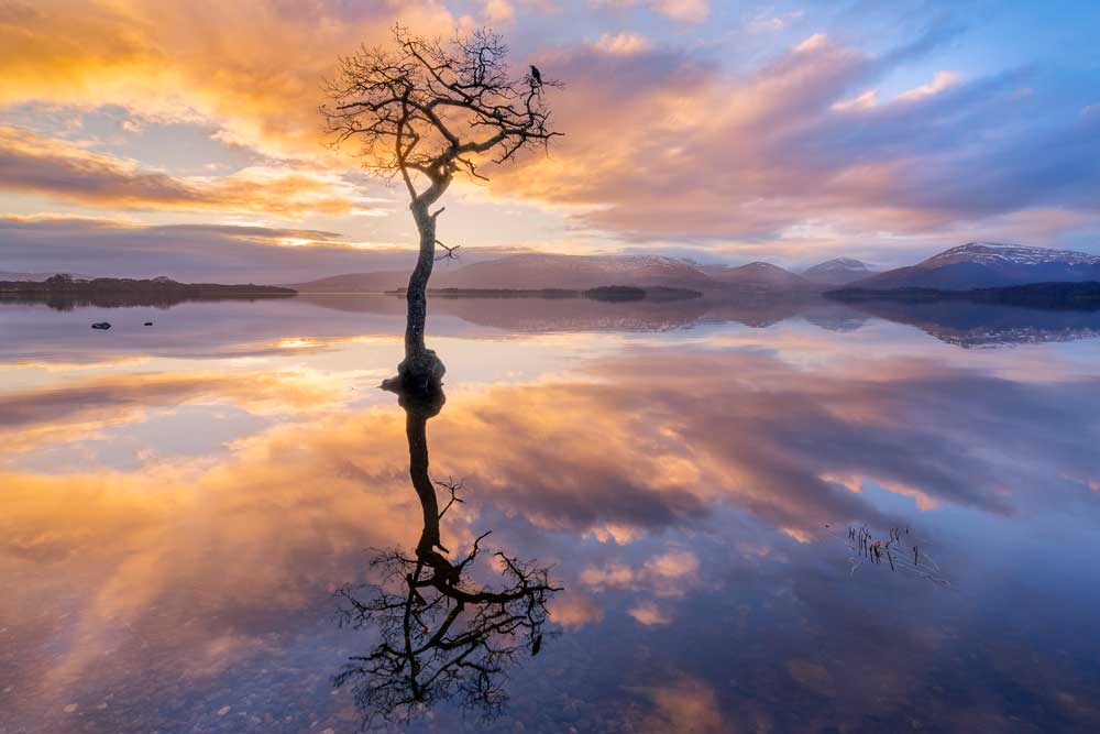 Park Life – Reflections on Milarrochy Bay, Loch Lomond &amp; The Trossachs National Park in Scotland (#AA_NPARKS_09)