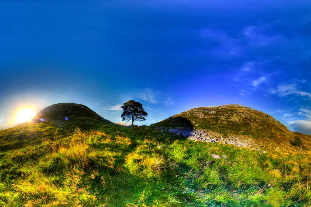 Park Life – Sycamore Gap Tree, Northumberland National Park in England (#AA_NPARKS_15)